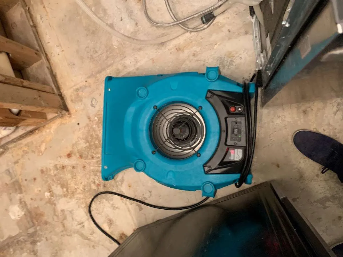 Air mover drying equipment for Mold Remediation & Removal in Durant